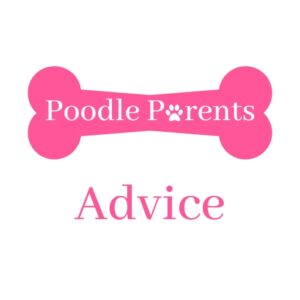 Poodle Parents Advice logo