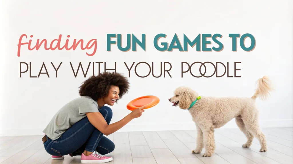 Finding Fun Games To Play With Your Poodle